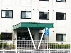 四つ葉のクローバー