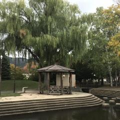 真駒内曙公園