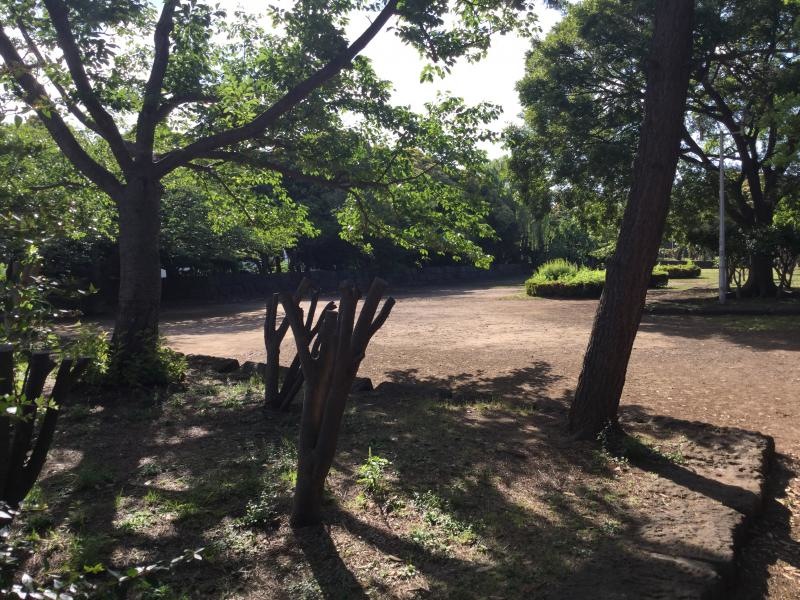 公園内