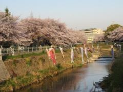 香流川緑道