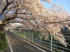香流川緑道