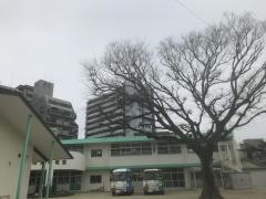 荘島幼稚園