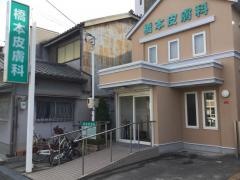 橋本皮膚科