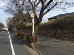 「体育館前」バス停留所