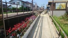 太郎丸エンゼルランド駅