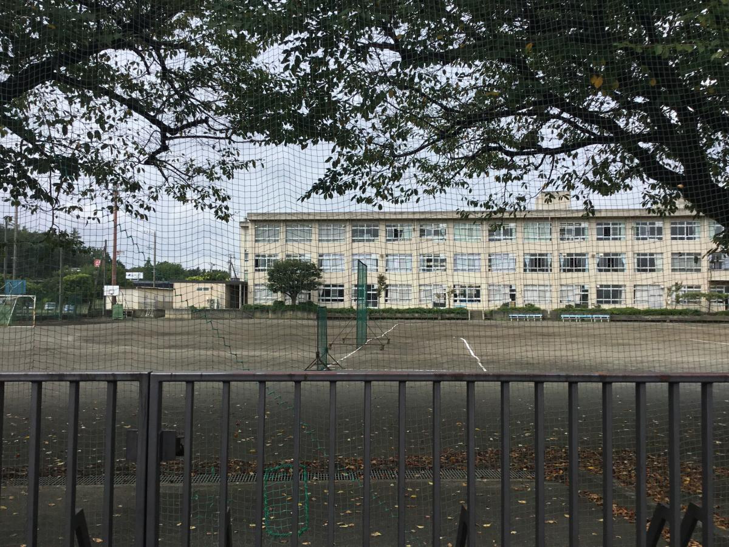鵜野 森 中学校