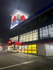 ヤマダ電機　テックランド新潟関新店