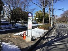 「税関研修所」バス停留所
