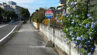 「早鈴公民館入口」バス停留所