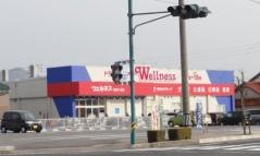 ドラッグストアウェルネス平田中ノ島店