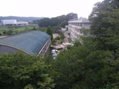 南秋留小学校