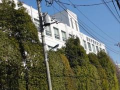 星美学園短期大学