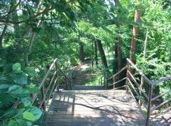 あかまつ緑地