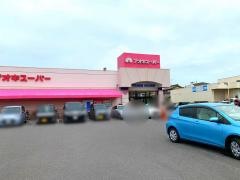 アオキスーパー古井店