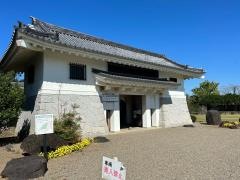 天ケ城公園