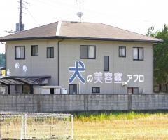 アフロ