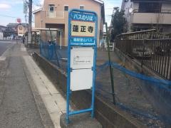 「蓮正寺」バス停留所