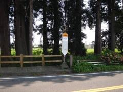 「今市市役所前」バス停留所