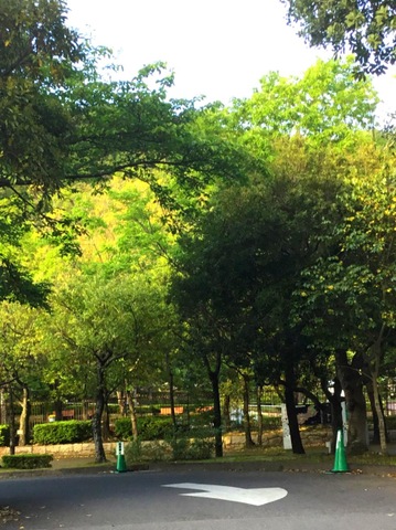 施設写真25