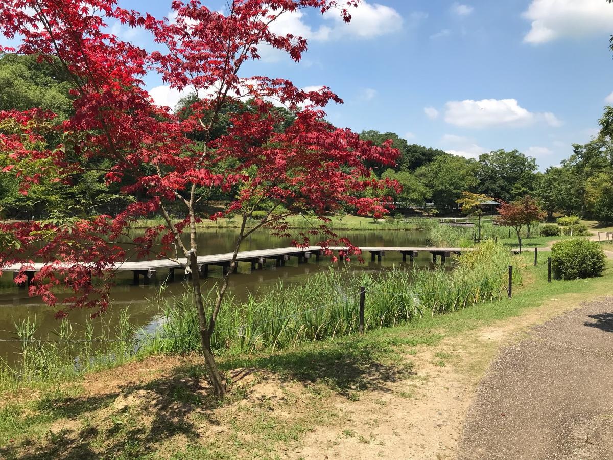 グリーンピア春日井