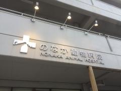 のなか動物病院