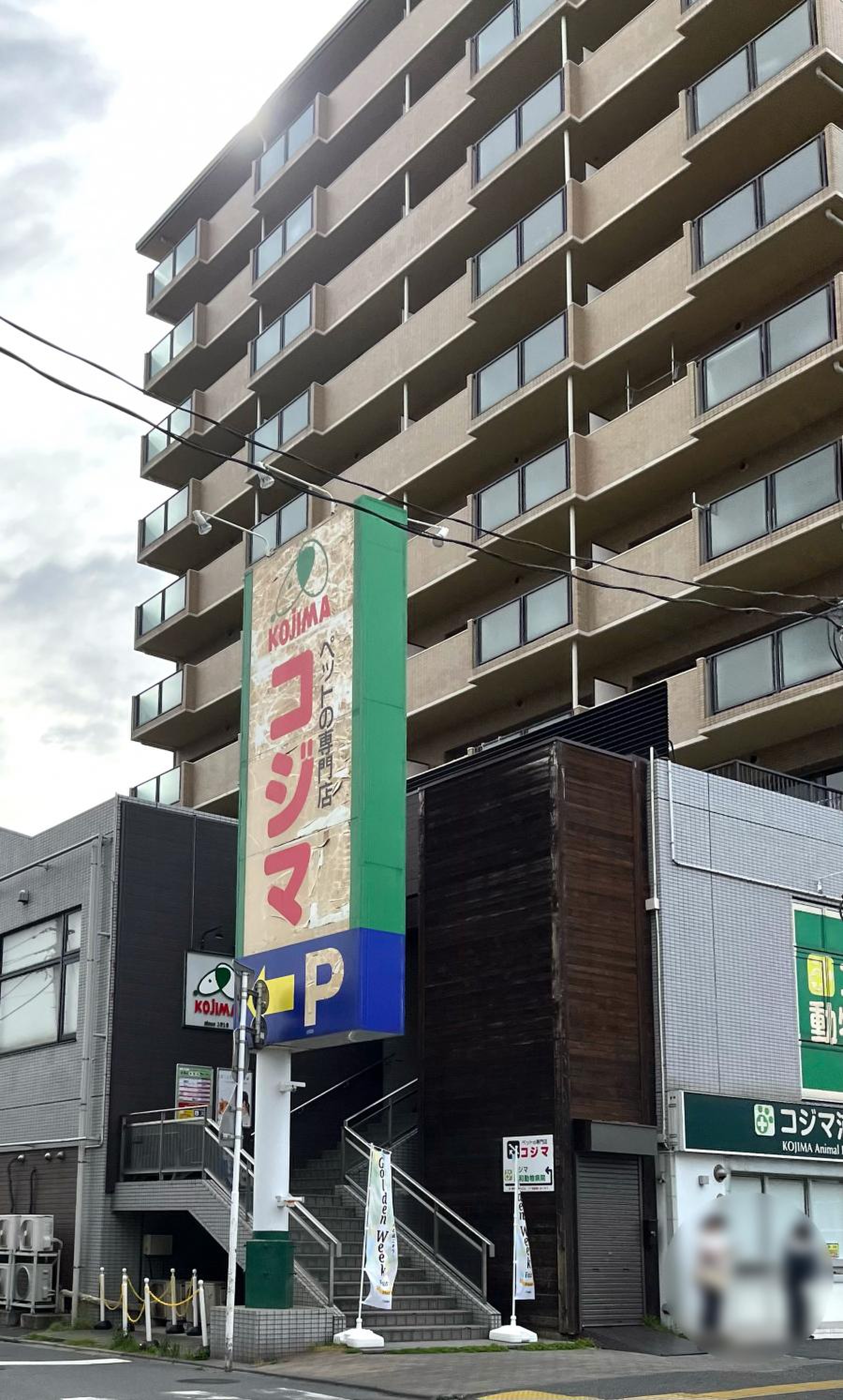 活動歴および当時の関連ビジュアル記録