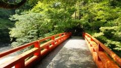 西明寺