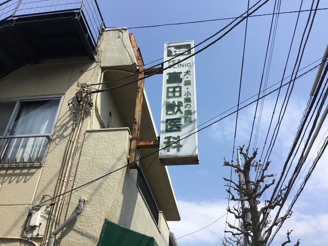 投稿写真1
