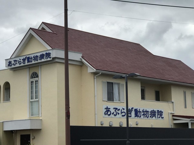 投稿写真1