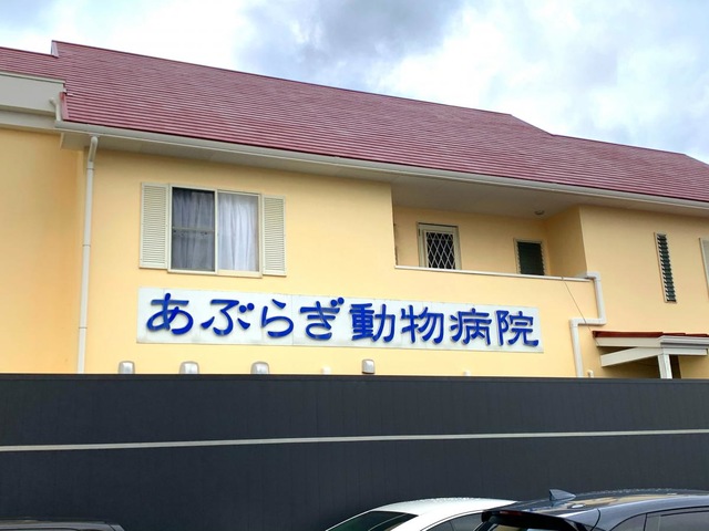 施設写真11