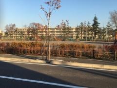 流山市立南流山中学校