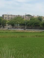 愛知県立豊明高等学校