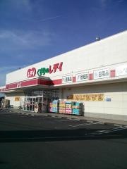 レデイ薬局川島店
