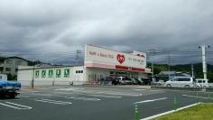 レデイ薬局内子店