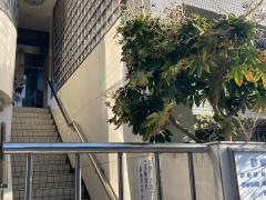 桑原歯科医院