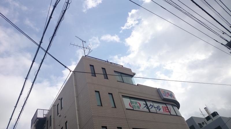 全体