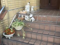 うえの歯科