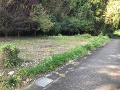 秋山川緑地