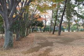 一本松公園