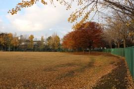 一本松公園