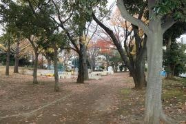一本松公園