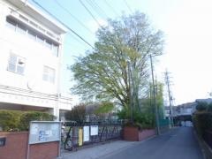 柳沢小学校