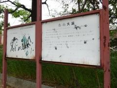 青山緑地