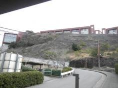 智辯学園和歌山小学校
