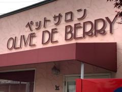 オリーブｄｅベリー