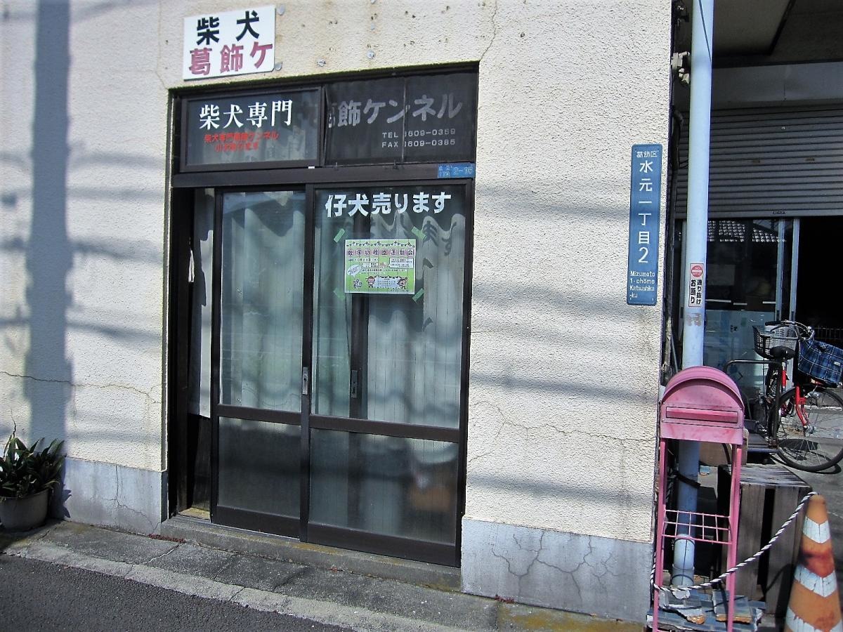 葛飾ケンネル 外観風景