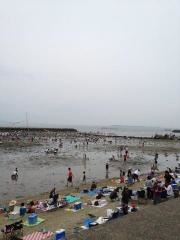 乙方海岸