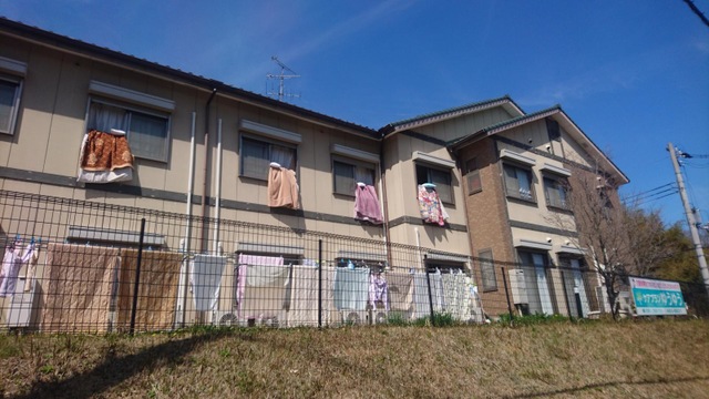 ゆうゆう