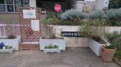 桜南幼稚園
