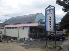 熱帯魚のペンギン村